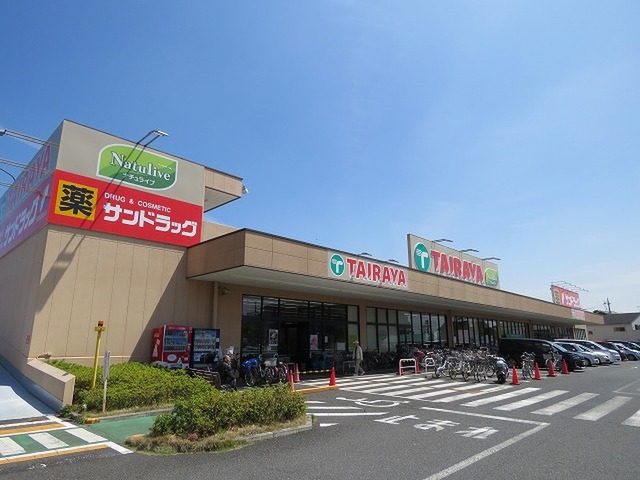 エコスTAIRAYA中神店