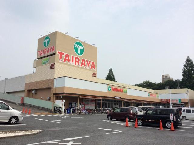 エコスTAIRAYA奈良橋店