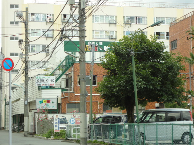 自然館