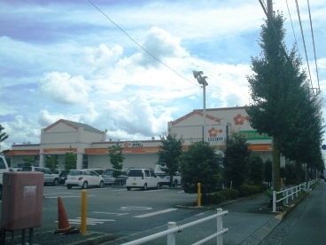 スーパーオザム