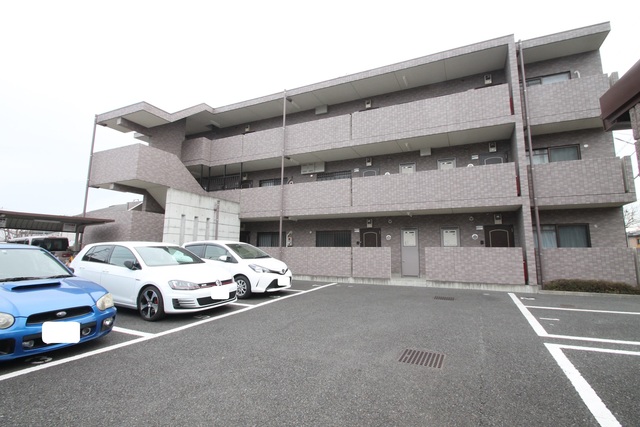 ピエトラ　ルーチェ　0101