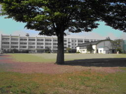 八王子市立元八王子東小学校