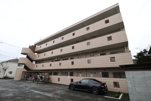 プレイン杉　0101