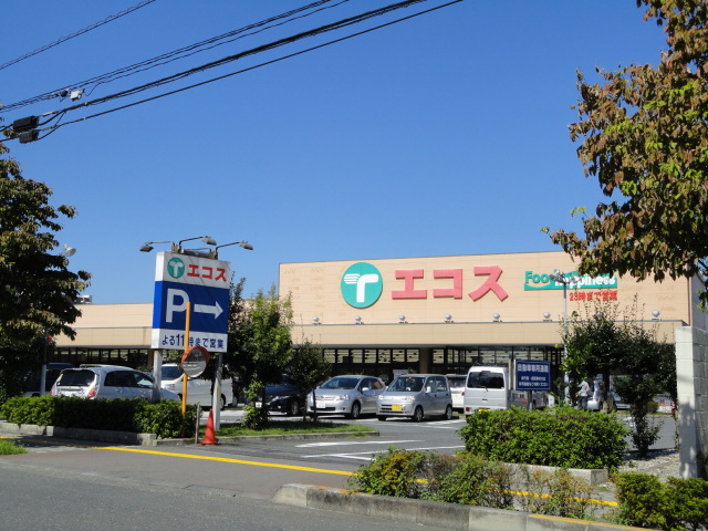 エコスTAIRAYA拝島店