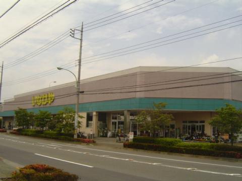 いなげやあきる野雨間店