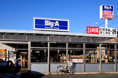 ビッグ・エー東大和芝中団地店
